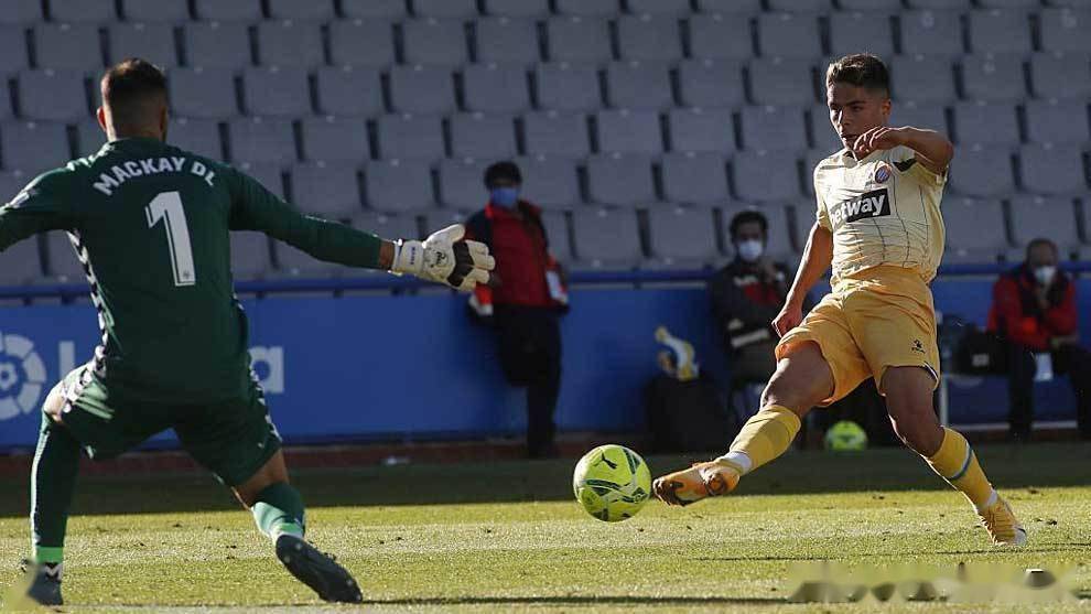 金年会APP-荷甲直播在线观看高清